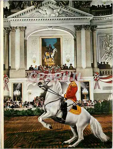 Cartes postales moderne Vienne Ecole d'Equitation de la Cour Espagnole Levade Montee Cheval Militaria