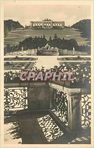 Cartes postales moderne Wien Blick vom Schloss Schonbrunn gegen Blumenporterre