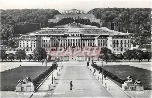 Cartes postales moderne Wien Schloss Schonbrunn Lion