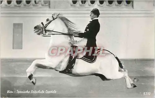 Moderne Karte Wien Spanische Reitschule Capriole Cheval Hippisme