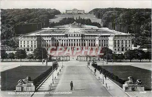 Cartes postales moderne Wien Schloss Schonbrunn Gesamtansicht Lion