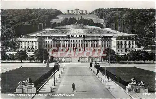 Moderne Karte Wien Schloss Schonbrunn Gesamtansicht Lion