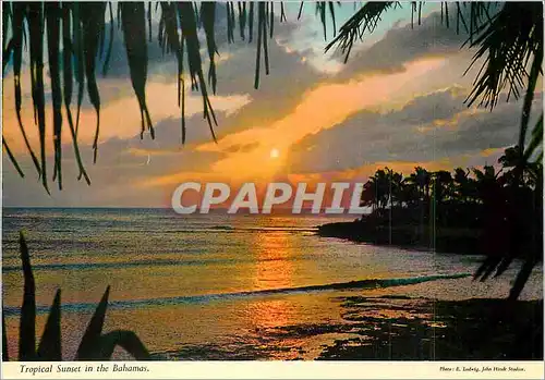 Cartes postales moderne The Bahamas Islands Tropical Sunset in the Bahamas