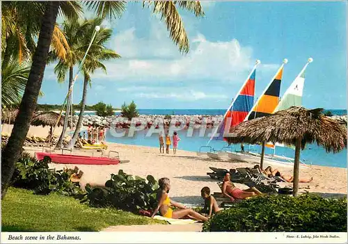 Cartes postales moderne A Typical Beach Scene in the Bahamas