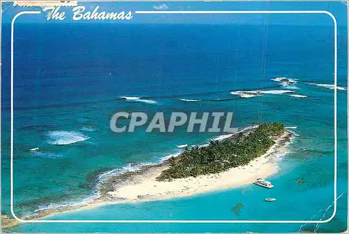 Cartes postales moderne The Bahamas Sandy Cay One of Several Hundred Beautiful Cays in the Bahamas