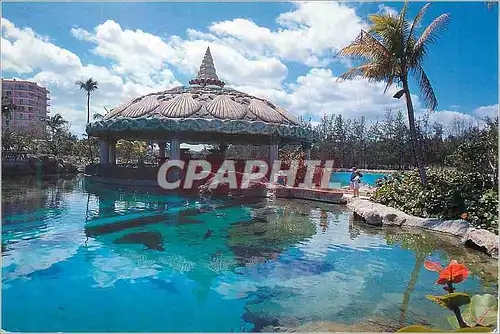 Cartes postales moderne Bahamas Scenic Prints