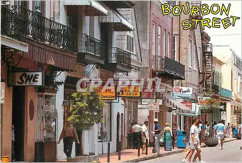 Cartes postales moderne Bahamas Bourbon Street A Famous night Spot of the French Quater Panda Bear