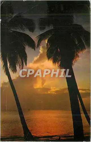 Cartes postales moderne Sunset Barbados West Indies
