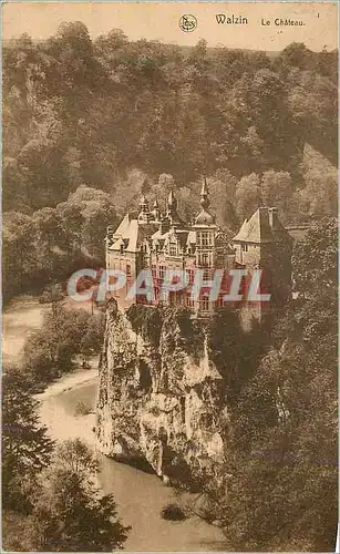Cartes postales Walzin Le Chateau Vallee de la Lesse