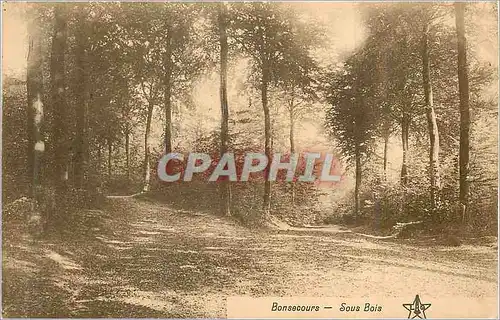 Cartes postales Bonsecours Sous Bois