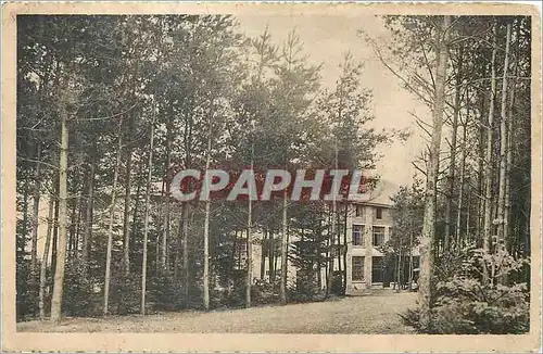 Cartes postales Harre Hotel du Viel Hermitage de St Antoine Allee de Sapins (Vers l'Hotel)