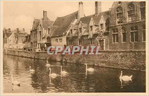 Cartes postales Bruges Quai Vert Maison du Pelican Cygnes