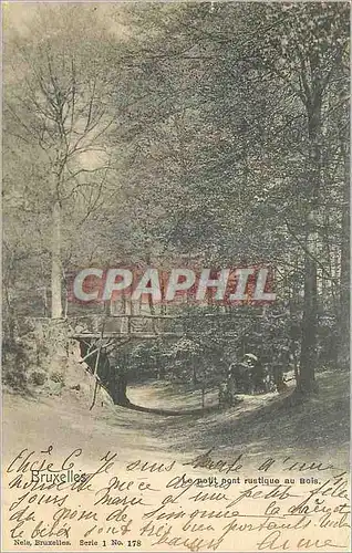 Cartes postales Bruxelles le Petit Pont Rustique au Bois
