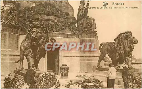 Cartes postales Bruxelles Colonne du Congres le Tombeau du Soldat Inconnu Lion