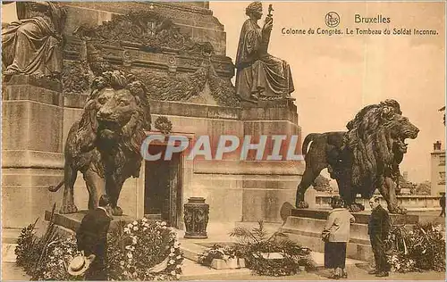 Cartes postales Bruxelles Colonne du Congres le Tombeau du Soldat Inconnu Lion