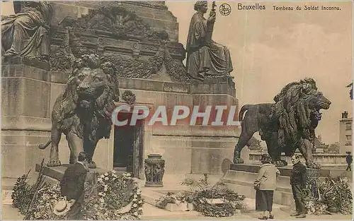 Ansichtskarte AK Bruxelles Tombeau du Soldat Inconnu Lion