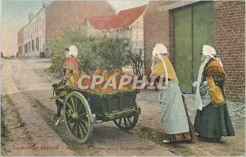 Cartes postales Laitieres Belges Folklore Voiture a chien