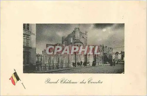 Cartes postales Gand Chateau des Comtes