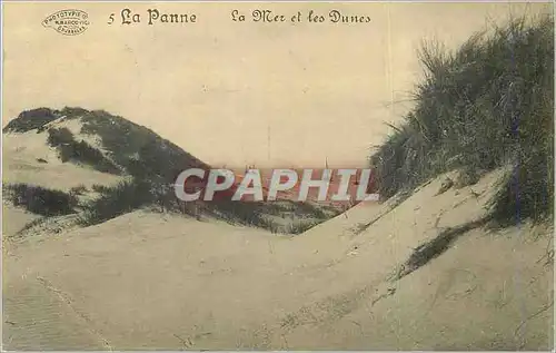 Cartes postales La Panne La Mer et les Dunes