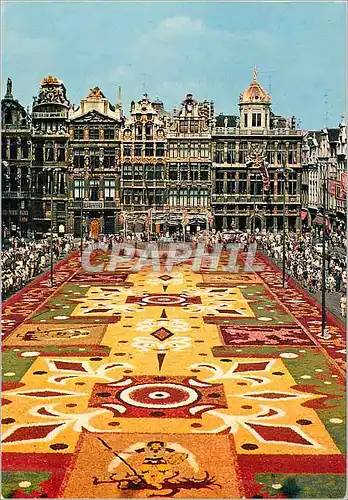 Moderne Karte Bruxelles Grand Place Tapis de Fleurs