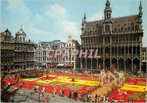 Moderne Karte Bruxelles Grand Place Tapis de Fleurs