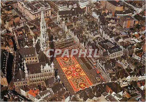 Cartes postales moderne Bruxelles Grand Place Tapis des Fleurs