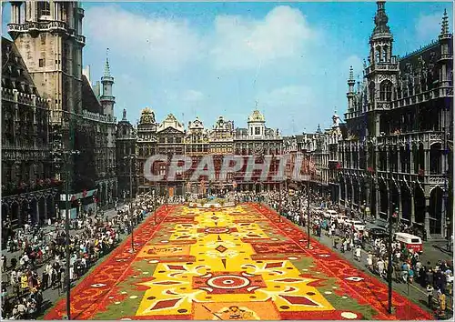 Moderne Karte Bruxelles Grand Place Tapis des Fleurs