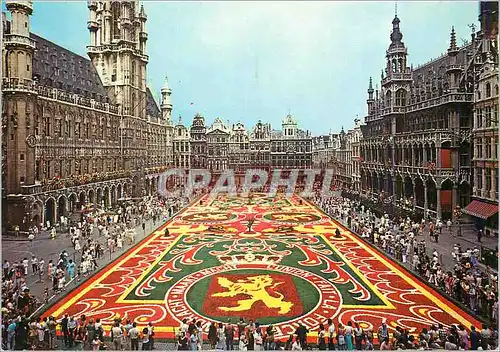 Moderne Karte Bruxelles Grand Place Tapis des Fleurs
