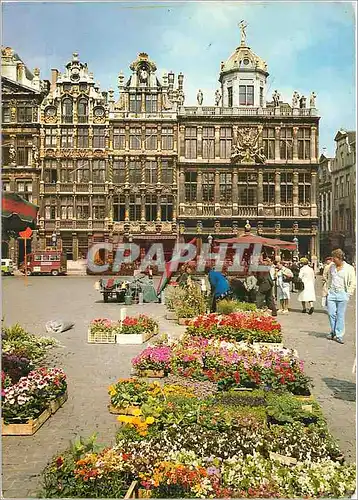 Cartes postales moderne Brussels Grand Place et Marche aux Fleurs