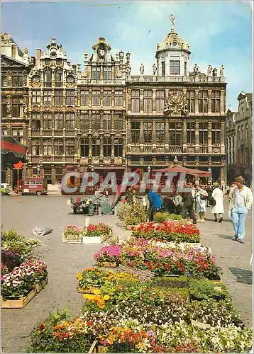 Moderne Karte Brussels Grand Place et Marche aux Fleurs