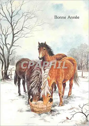 Cartes postales moderne Bonne Annee Chevaux