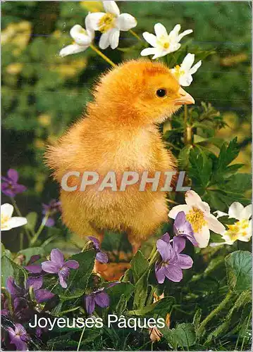 Cartes postales moderne Joyeuses Paques