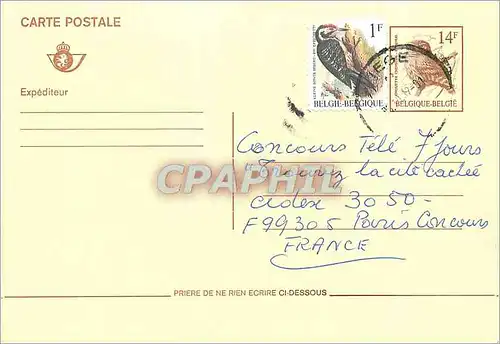 Entier Postal Belgique Oiseau