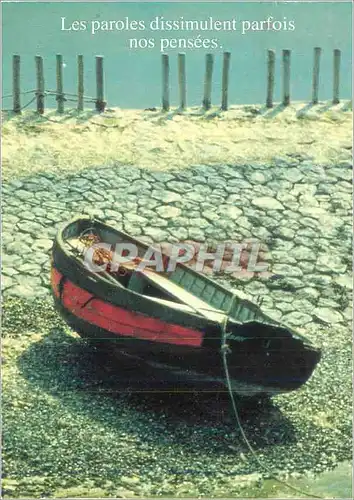 Cartes postales Les Paroles Dissimulent parfois nos Pensees