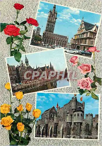 Cartes postales moderne Souvenir de Gand Gent