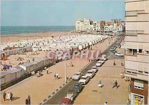 Cartes postales moderne Knokke la Digue Automobiles