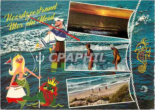 Cartes postales moderne Noordzeestrand Mer du Nord Marin Peche