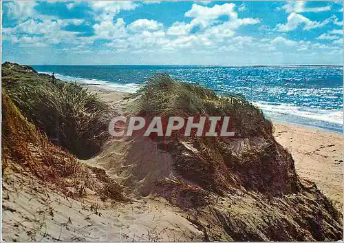 Cartes postales moderne Dunes Belgique