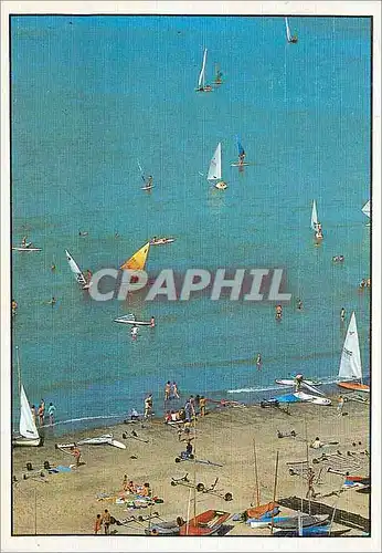 Moderne Karte La Cote Belge Planche a voile Bateau