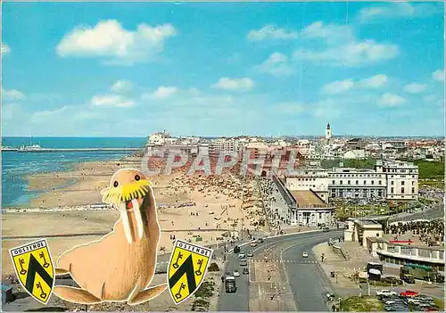 Cartes postales moderne Un Bonjour d'Ostende Otarie Phoque
