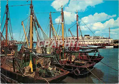 Cartes postales moderne Ostende Bateaux de Peche