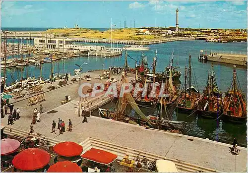 Cartes postales moderne Ostende Yachtclub et Port de Peche Bateaux