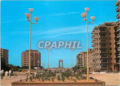 Cartes postales moderne La Cote Belge De Panne