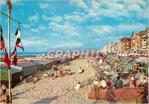 Cartes postales moderne La Panne la Plage