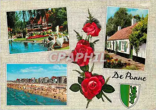 Cartes postales moderne Un Bonjour de De Panne