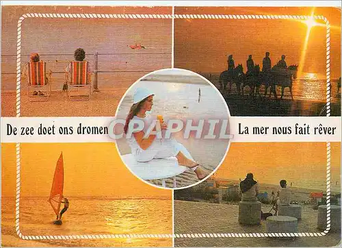 Cartes postales moderne La Mer nous fait Rever Chevaux Planche a voile