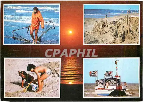 Cartes postales moderne La Cote Belge Bateau Peche