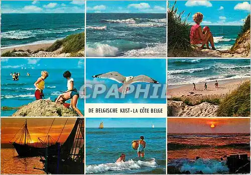 Cartes postales moderne La Cote Belge Bateau Mouette