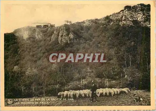 Moderne Karte Le Chemin de Fer de la Grotte de Han les Rochers de Baule Berger Moutons Train