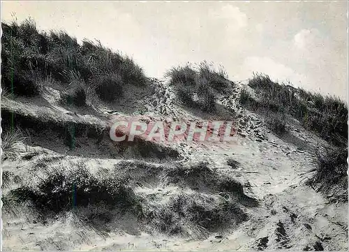 Cartes postales moderne Oostduinkerke le Royaume de Jeannot Lapin